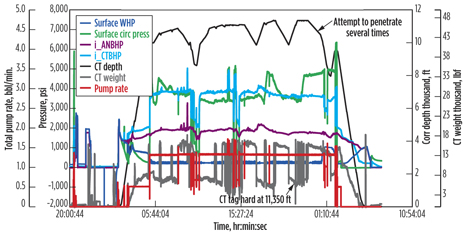 Fig. 5. Pumping schedule design for Well 2. Fig. 5. Pumping schedule design for Well 2.