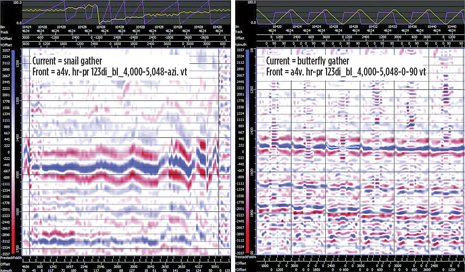 Fig. 1. Panel 1 (left) shows a Snail gather—increasing azimuth within increasing offset classes, poor signal-to-noise. The azimuthal variation is evident at the far offset (right-hand edge of the panel). Panel 2 displays Butterfly gathers comparing offset for two azimuths only (0° and 90°). The data show little move-out, indicating that the velocity model is correct.