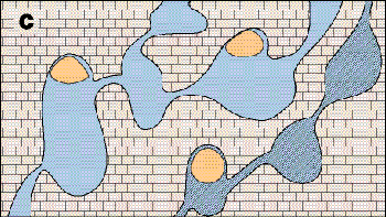 {short description of image}